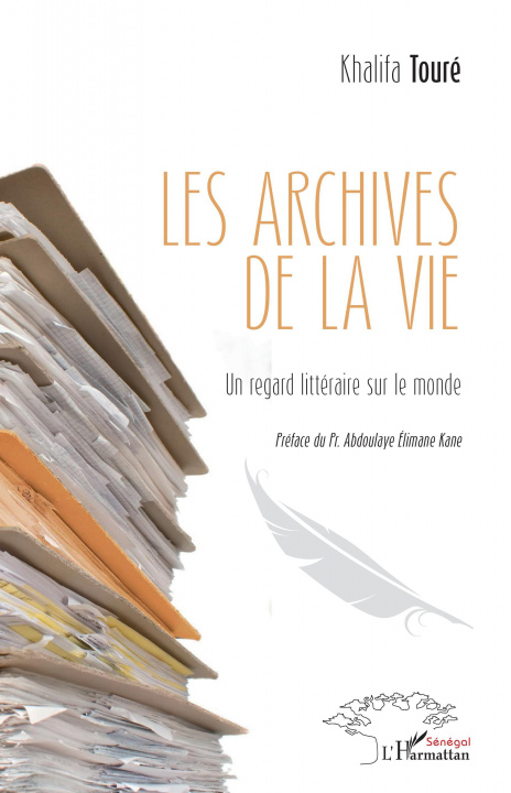 Book Les archives de la Vie Touré