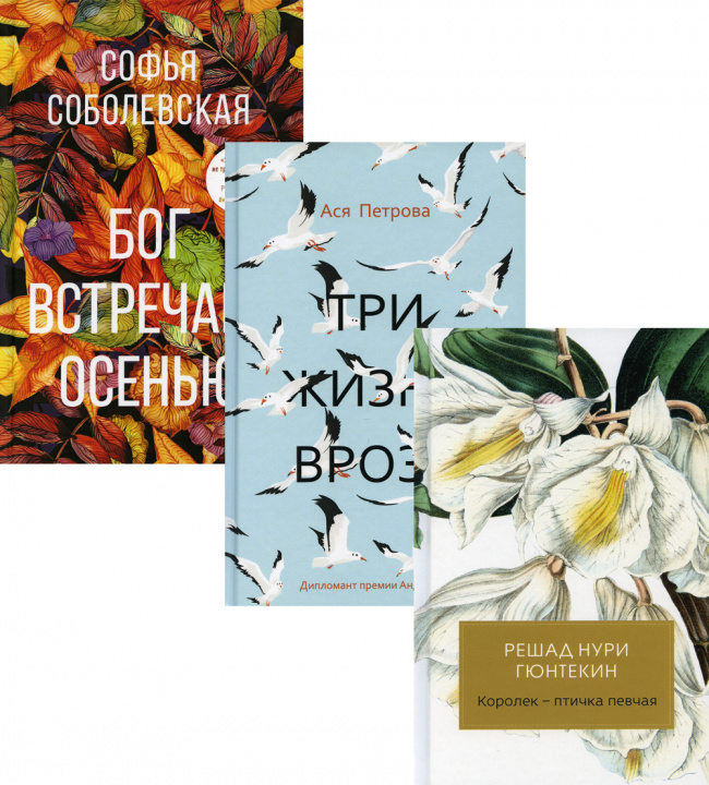Knjiga Женская проза (комплект из 3-х книг) Нури Решад Гюнтекин
