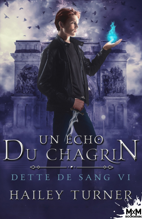 Knjiga Un écho du chagrin Hailey Turner