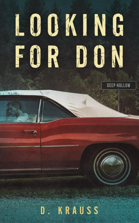Book Looking for Don Jayne Southern