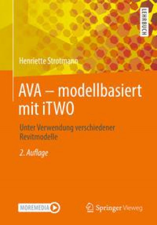Knjiga Ava - Modellbasiert Mit Itwo Henriette Strotmann