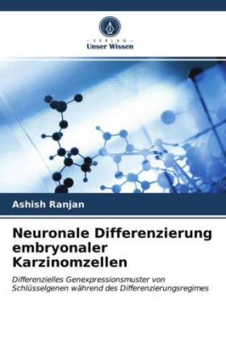 Kniha Neuronale Differenzierung embryonaler Karzinomzellen Ashish Ranjan