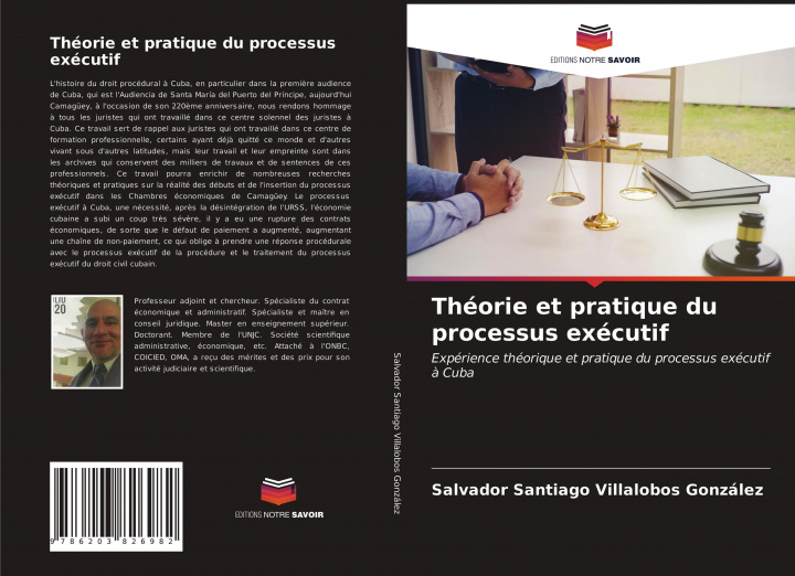 Könyv Théorie et pratique du processus exécutif 