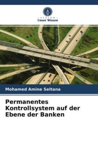 Buch Permanentes Kontrollsystem auf der Ebene der Banken 