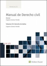 Книга MANUAL DE DERECHO CIVIL VII. DERECHO DE DAÑOS LLAMAS POMBO
