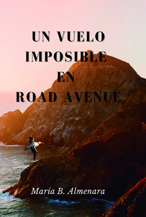 Книга Un Vuelo Imposible en Road Avenue Almenara