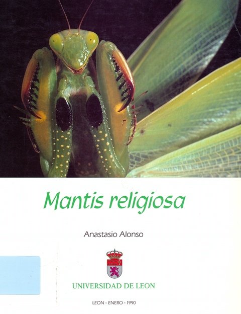 Kniha Mantis Religiosa ALONSO