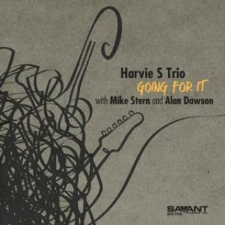 Audio Going For It Harvie S Trio