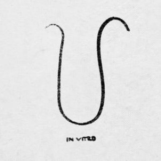 Zvok In Vitro 