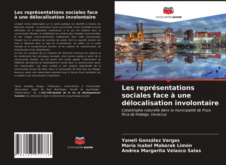 Knjiga Les représentations sociales face ? une délocalisation involontaire María Isabel Mabarak Limón