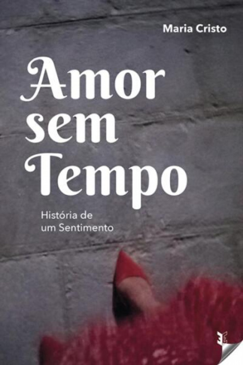 Buch AMOR SEN TEMPOS MARIA CRISTO