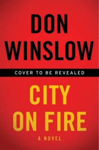 Kniha City on Fire 