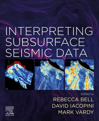 Knjiga Interpreting Subsurface Seismic Data REBECCA BELL
