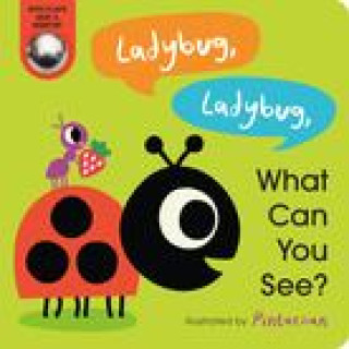 Kniha Ladybug, Ladybug, What Can You See? Pintachan
