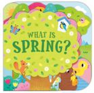 Knjiga What Is Spring? Yi-Hsuan Wu