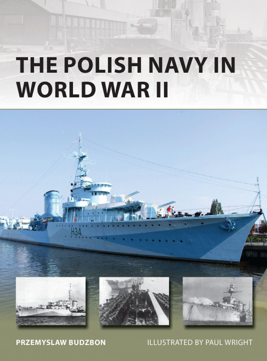 Книга Polish Navy 1918-45 Paul Wright