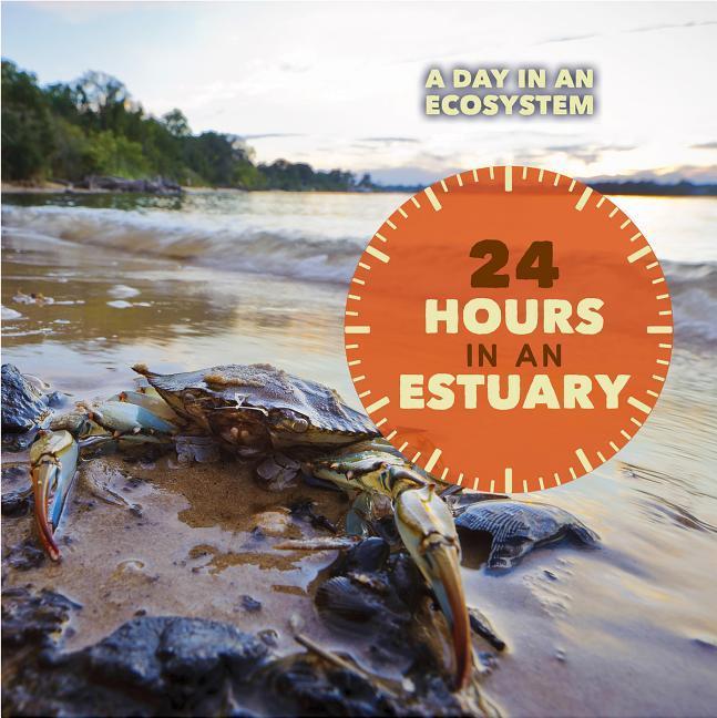 Könyv 24 Hours in an Estuary 