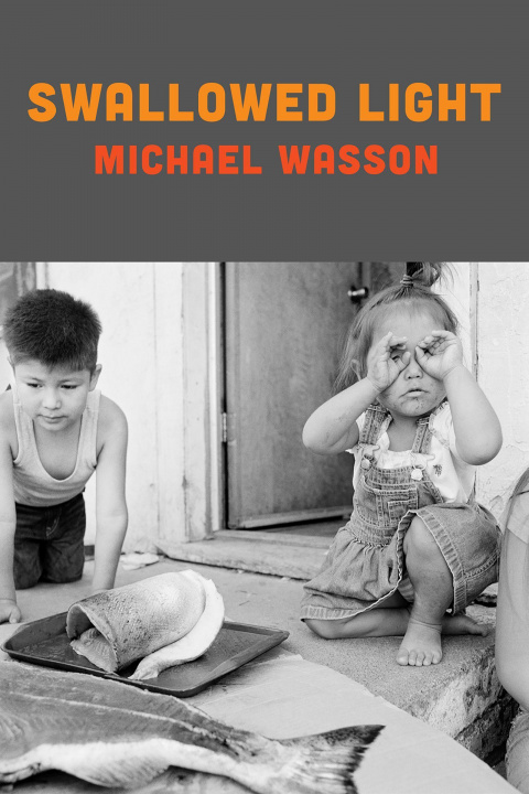 Knjiga Swallowed Light Michael Wasson