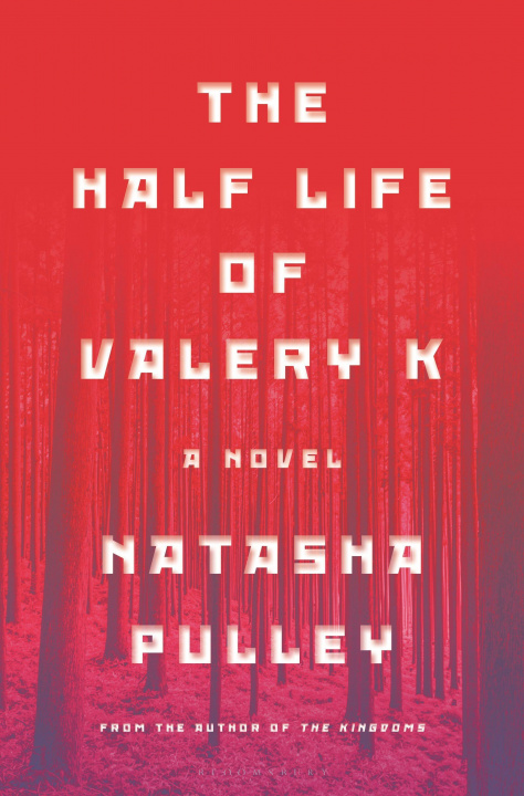 Knjiga The Half Life of Valery K Pulley