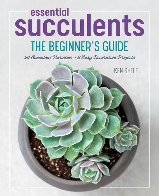 Livre Essential Succulents: The Beginner's Guide Rachel Weill