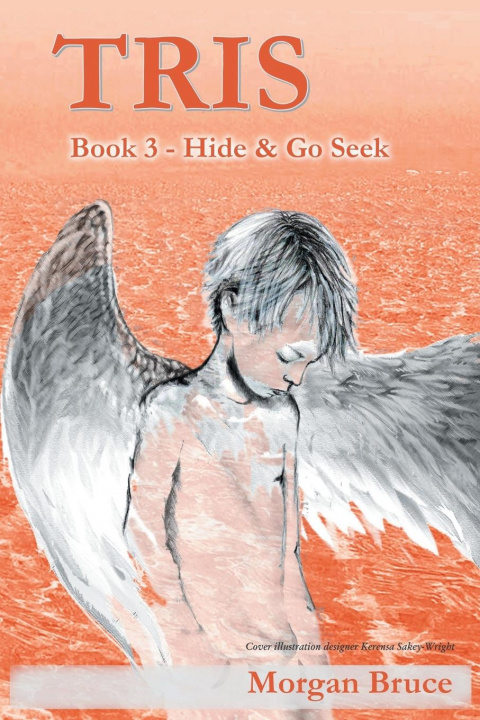 Buch Tris 3 - Hide & Go Seek Morgan Bruce