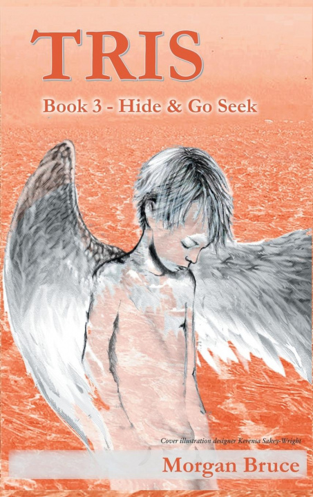 Carte Tris 3 - Hide & Go Seek Morgan Bruce