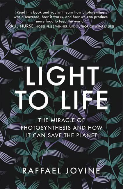 Book Light to Life Raffael Jovine