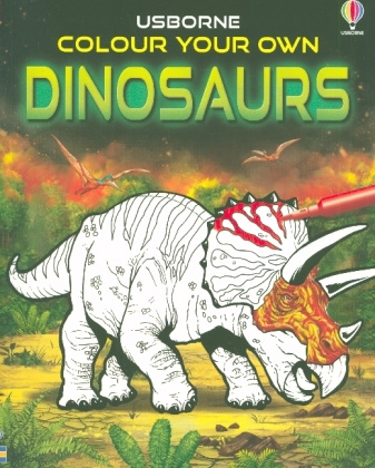 Kniha Colour Your Own Dinosaurs SIMON TUDHOPE