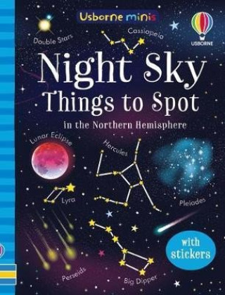 Kniha Night Sky Things to Spot SAM SMITH