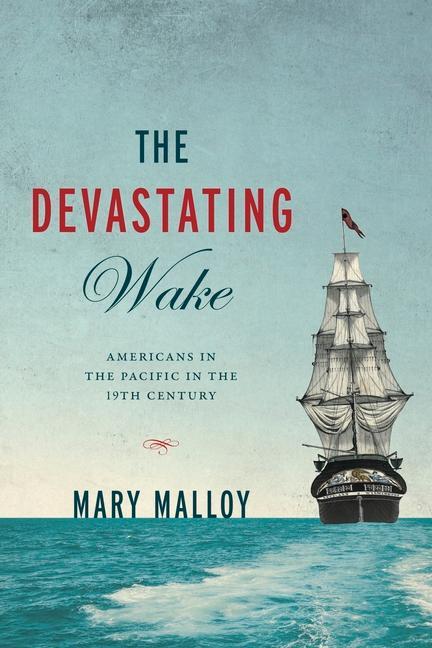 Book The Devastating Wake Mary Malloy