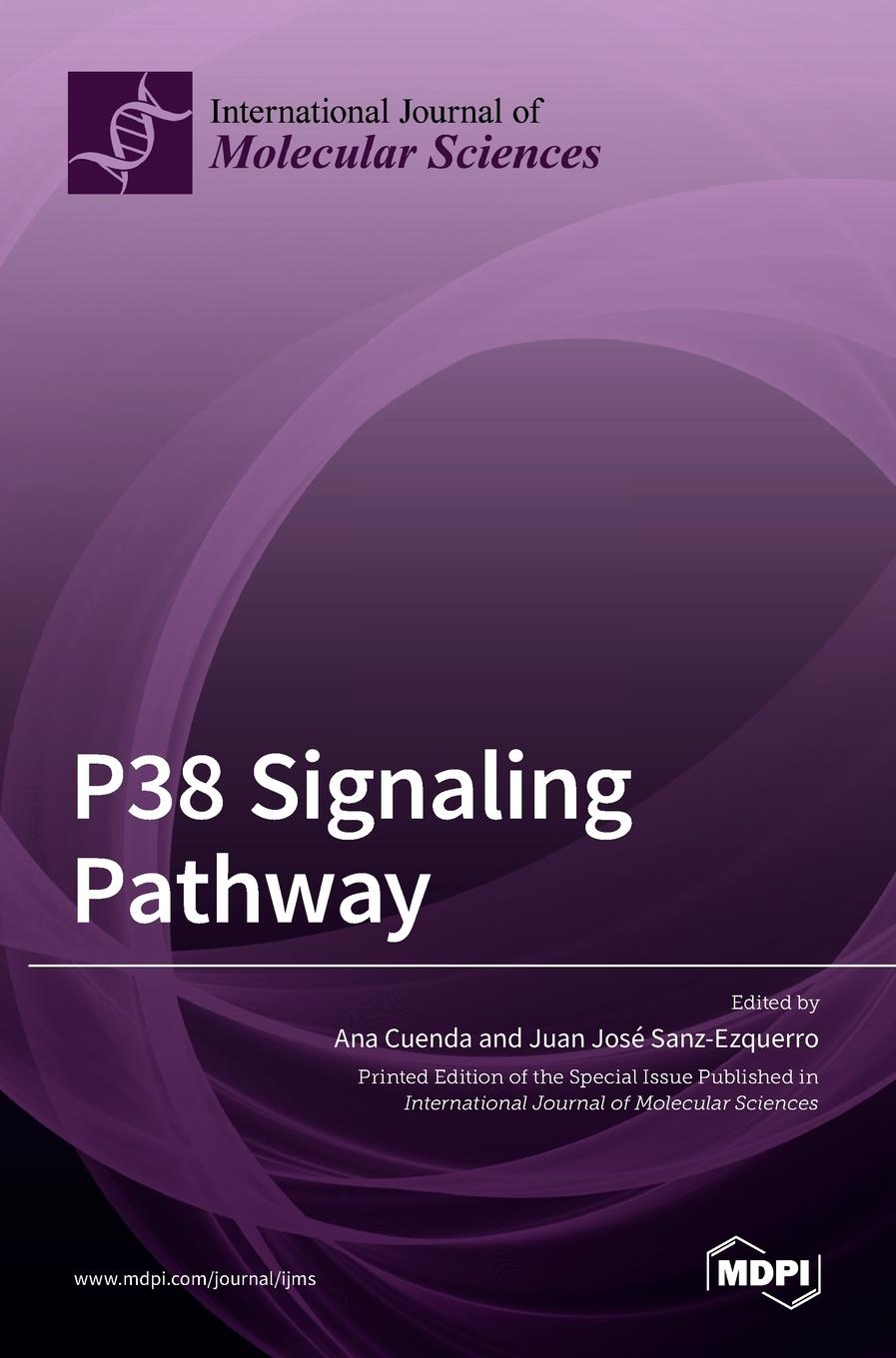 Carte P38 Signaling Pathway ANA CUENDA
