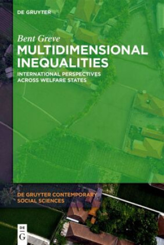 Knjiga Multidimensional Inequalities Bent Greve