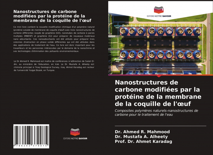 Kniha Nanostructures de carbone modifiees par la proteine de la membrane de la coquille de l'oeuf Mustafa A. Alheety