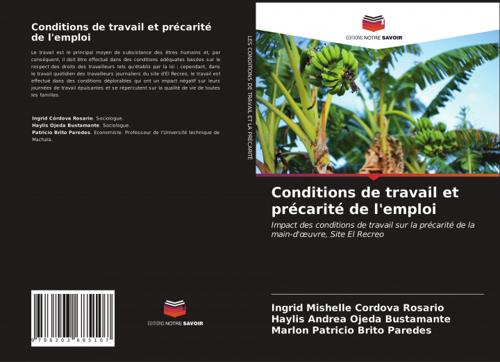 Libro Conditions de travail et precarite de l'emploi ING CORDOVA ROSARIO