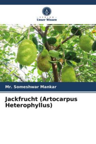 Kniha Jackfrucht (Artocarpus Heterophyllus) 