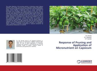 Kniha Response of Pruning and Application of Micronutrient on Capsicum R. V. Bhalerao