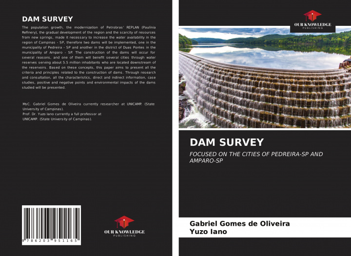 Книга DAM SURVEY Yuzo Iano