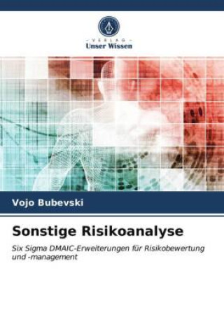 Book Sonstige Risikoanalyse Vojo Bubevski