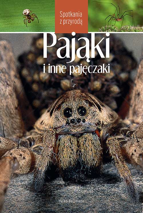 Carte Pająki i inne pajęczaki. Spotkania z przyrodą Heiko Bellmann