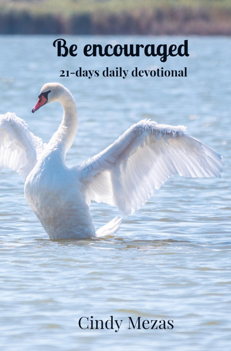Libro Be encouraged Cindy Mezas