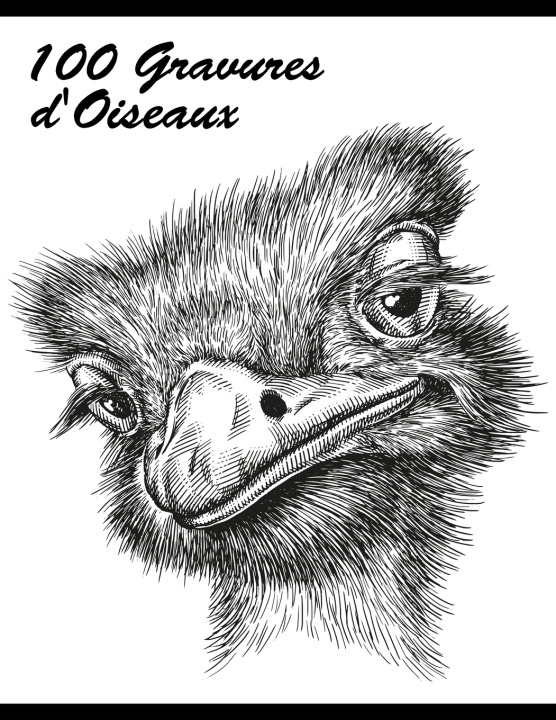Boek 100 Gravures d'Oiseaux Snels Nick Snels