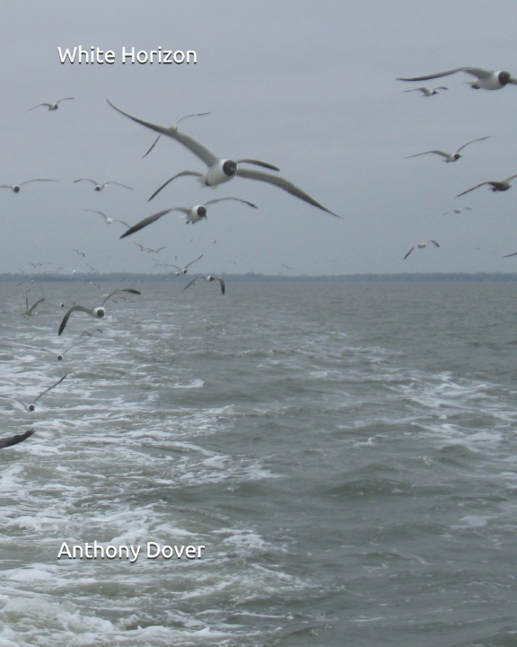 Knjiga White Horizon Dover Anthony Dover