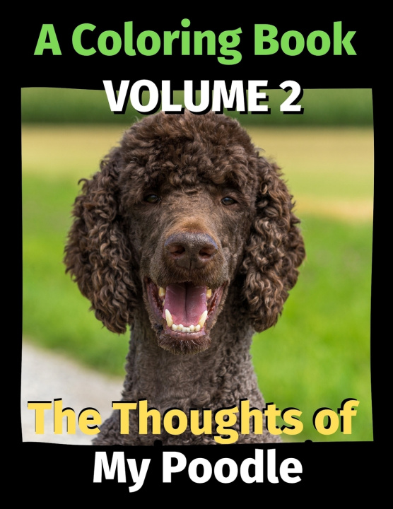 Knjiga Thoughts of My Poodle Publishing Brightview Publishing