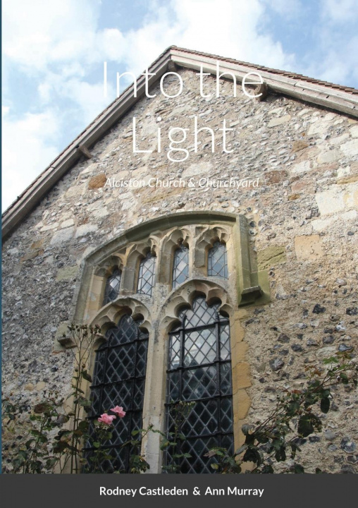 Boek Into the Light Ann Murray