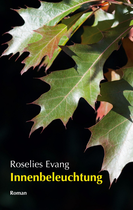 Carte Innenbeleuchtung Roselies Evang