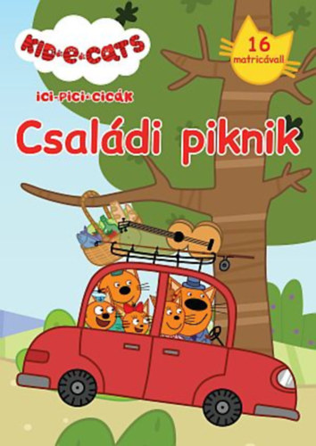 Kniha Ici-pici cicák - Családi piknik 