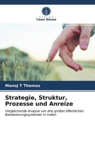 Kniha Strategie, Struktur, Prozesse und Anreize 