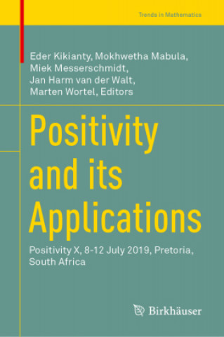 Knjiga Positivity and its Applications Mokhwetha Mabula