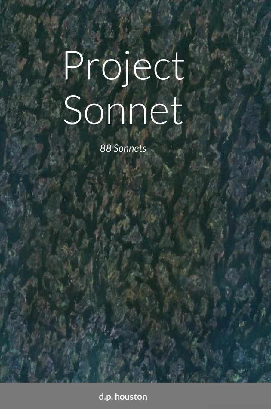 Knjiga Project Sonnet d.p. houston