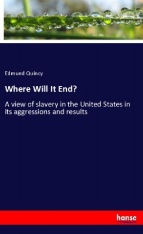 Knjiga Where Will It End? Edmund Quincy